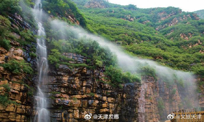 儿童过敏难题 有望一站式解决